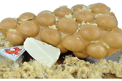 Cream Cheese Egg Puffle